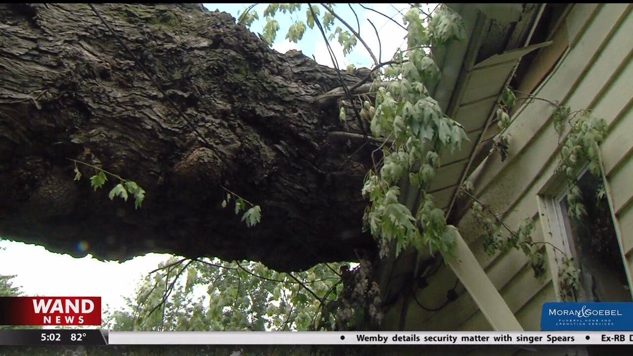 Storm damage leaves father and daughter homeless